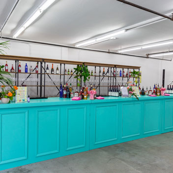 Pooches in Palm Springs