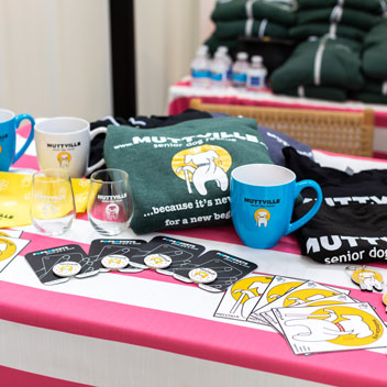 Pooches in Palm Springs