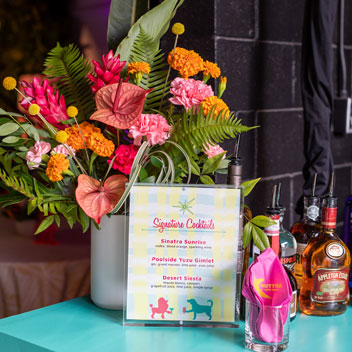 Pooches in Palm Springs