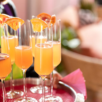 Pooches in Palm Springs