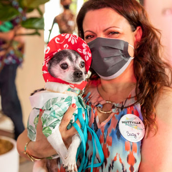 Pooches in Palm Springs