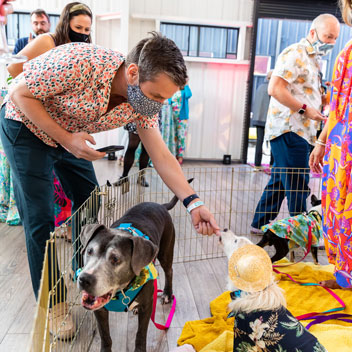 Pooches in Palm Springs