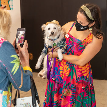 Pooches in Palm Springs
