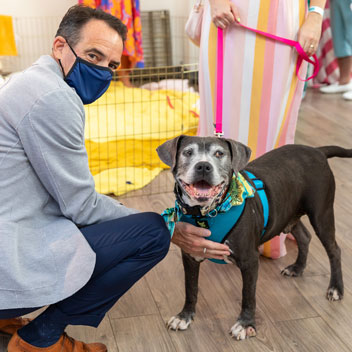 Pooches in Palm Springs