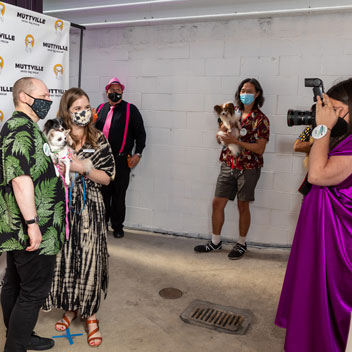 Pooches in Palm Springs