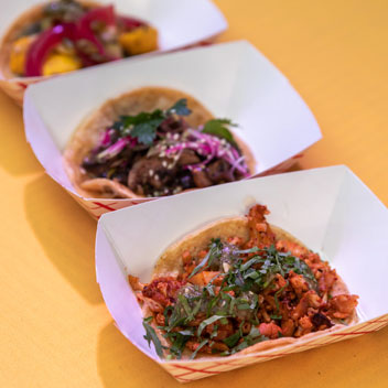 Pooches in Palm Springs