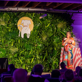 Pooches in Palm Springs