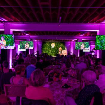 Pooches in Palm Springs