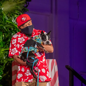 Pooches in Palm Springs