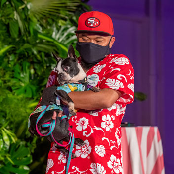 Pooches in Palm Springs