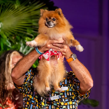 Pooches in Palm Springs