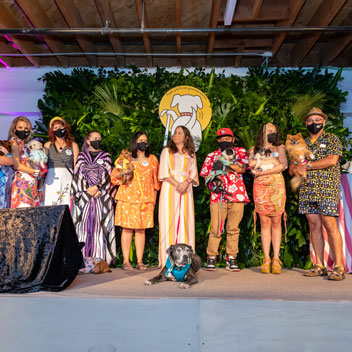 Pooches in Palm Springs