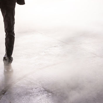 The Spy Who Loved Mutts