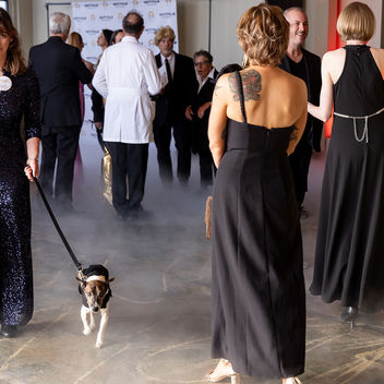 The Spy Who Loved Mutts