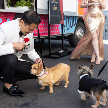 The Spy Who Loved Mutts