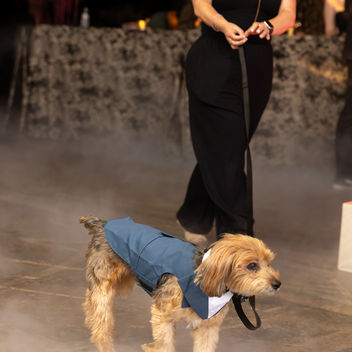 The Spy Who Loved Mutts