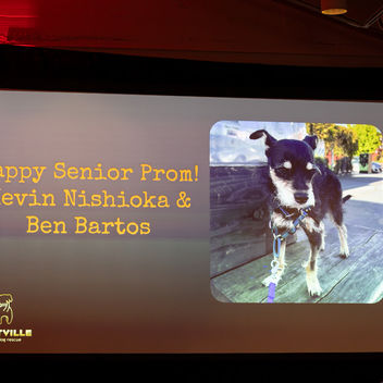 The Spy Who Loved Mutts