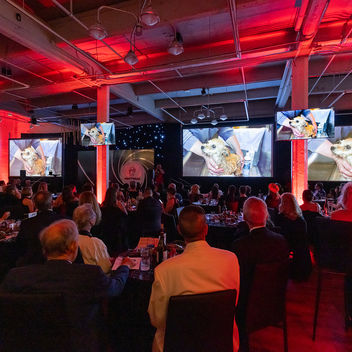 The Spy Who Loved Mutts