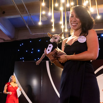 The Spy Who Loved Mutts