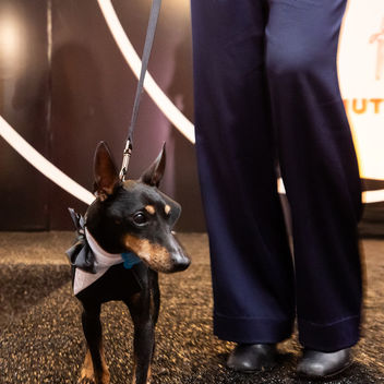 The Spy Who Loved Mutts