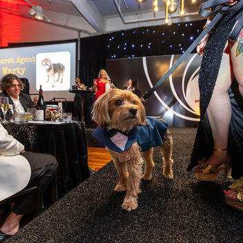 The Spy Who Loved Mutts