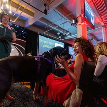 The Spy Who Loved Mutts