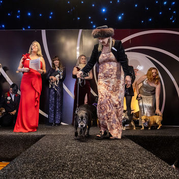 The Spy Who Loved Mutts