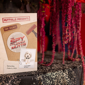 The Spy Who Loved Mutts