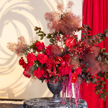 The Spy Who Loved Mutts