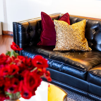 The Spy Who Loved Mutts