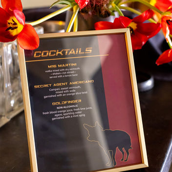 The Spy Who Loved Mutts