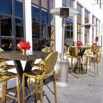 The Spy Who Loved Mutts