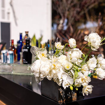 The Spy Who Loved Mutts