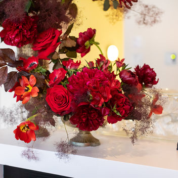 The Spy Who Loved Mutts