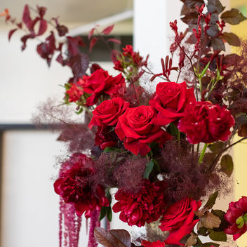 The Spy Who Loved Mutts