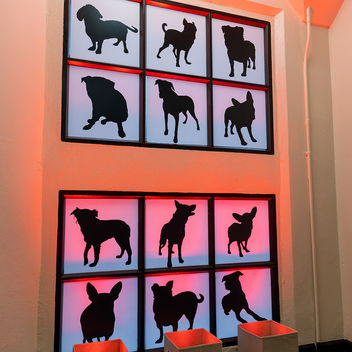 The Spy Who Loved Mutts