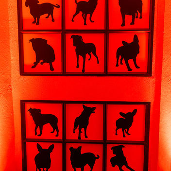 The Spy Who Loved Mutts