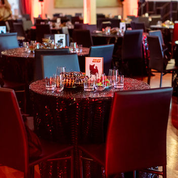 The Spy Who Loved Mutts