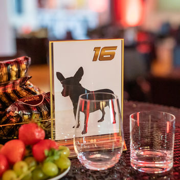 The Spy Who Loved Mutts