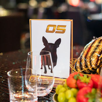 The Spy Who Loved Mutts