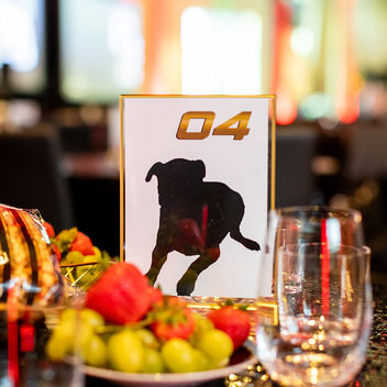 The Spy Who Loved Mutts