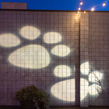 The Spy Who Loved Mutts