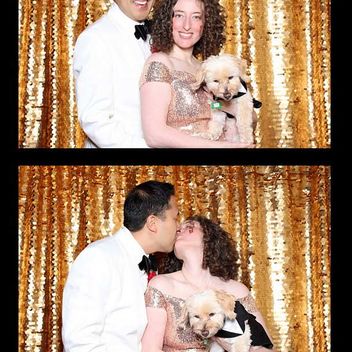 The Spy Who Loved Mutts