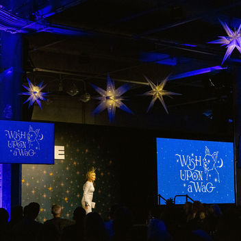 Wish Upon a Wag