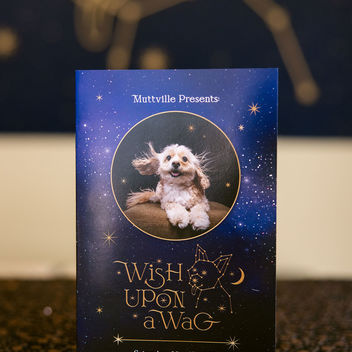 Wish Upon a Wag