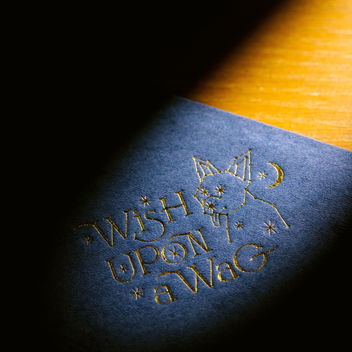 Wish Upon a Wag