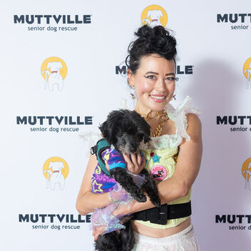 I Want My Mutt TV
