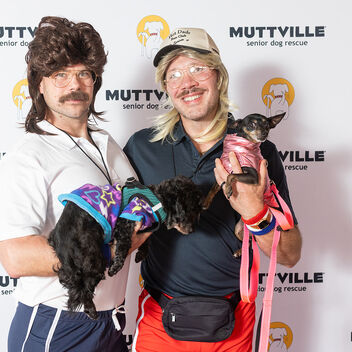 I Want My Mutt TV