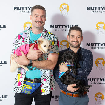 I Want My Mutt TV