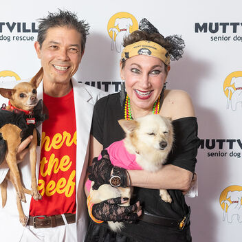 I Want My Mutt TV